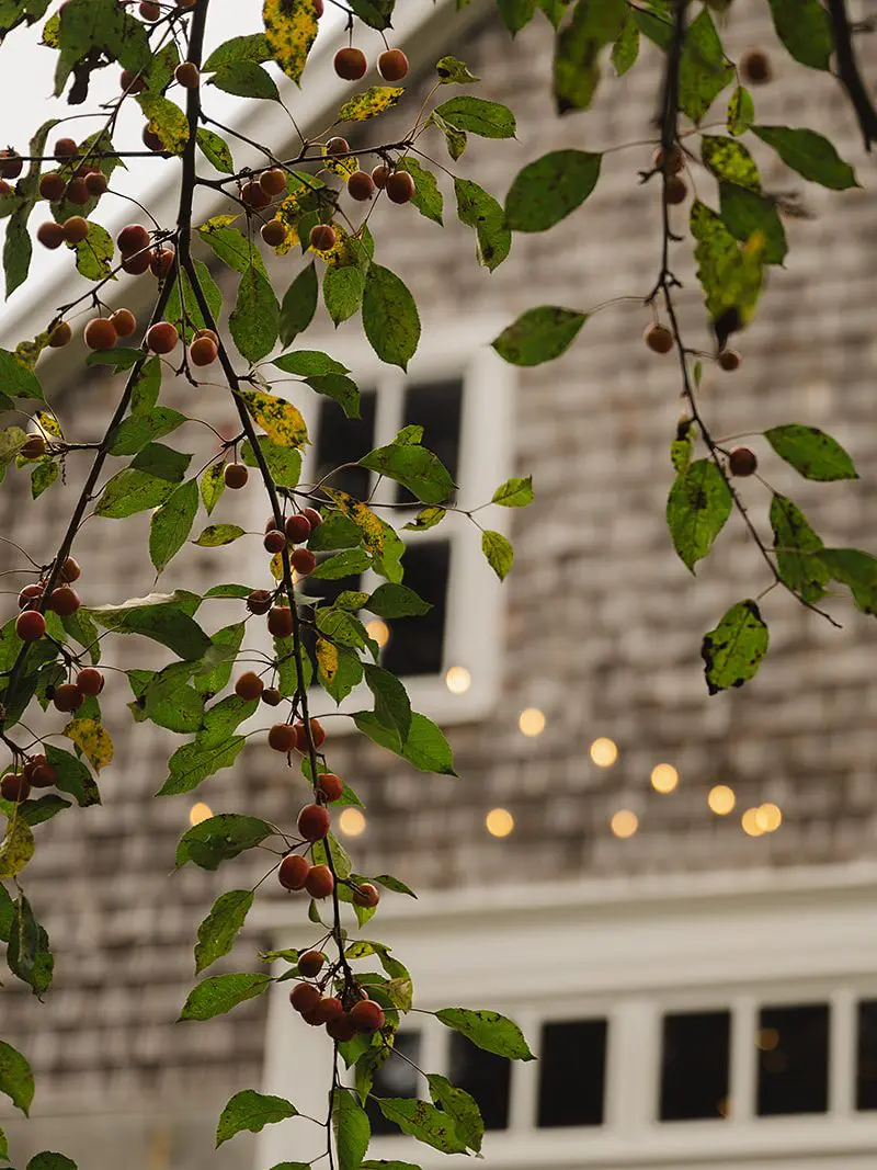 Planning a Fall Barn Wedding in Maine? Here’s What to Know
